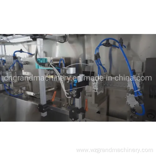 Vertical Liquid Filling and Packaging Machine Ggs-118 (P5)